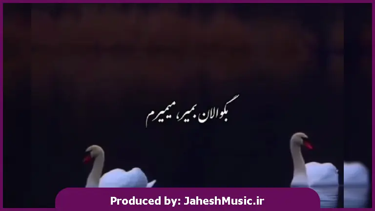 دانلود آهنگ محلی بگو الان بمیر میمیرم از ابر بهار گلاب میگیرم از علی قنبری